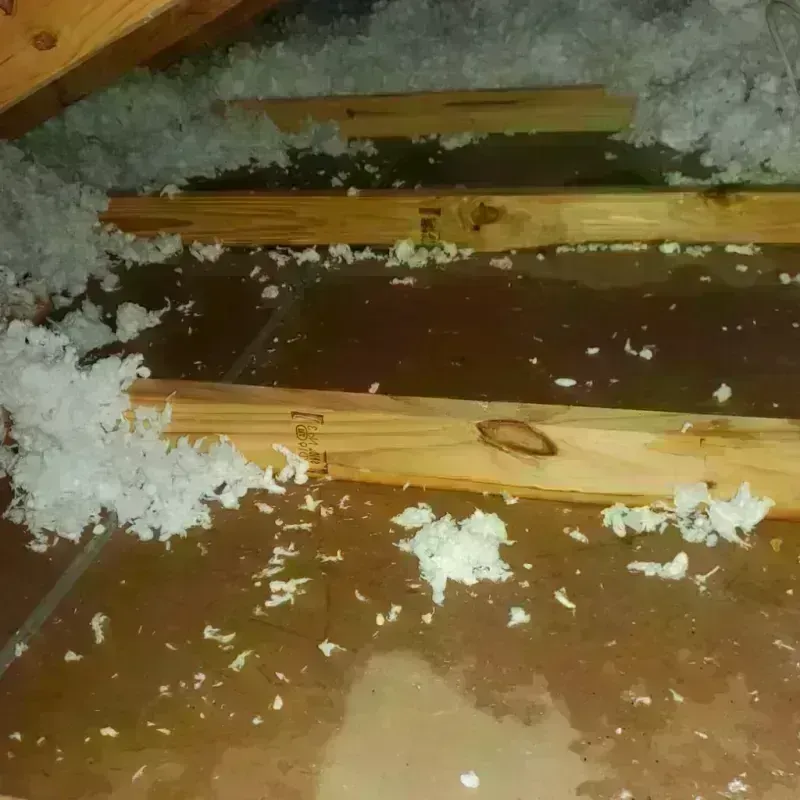 Attic Water Damage in Little Flock, AR