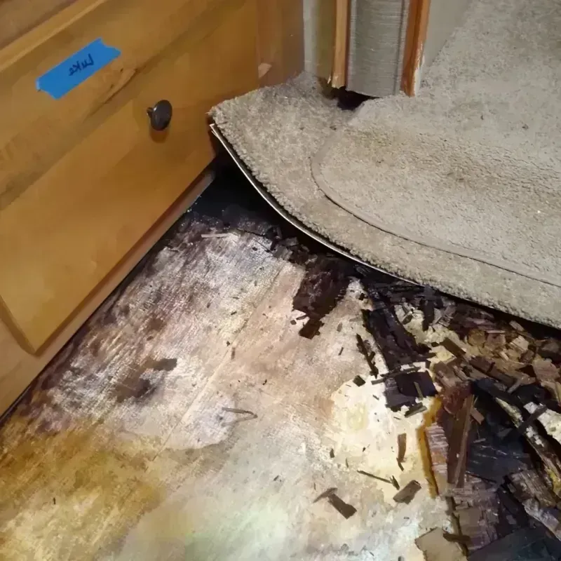 Wood Floor Water Damage in Little Flock, AR